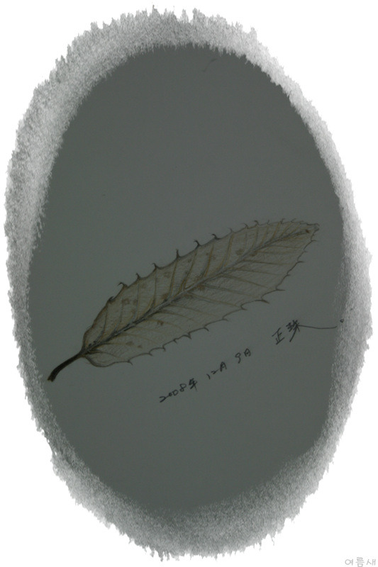 상수리 이미지
