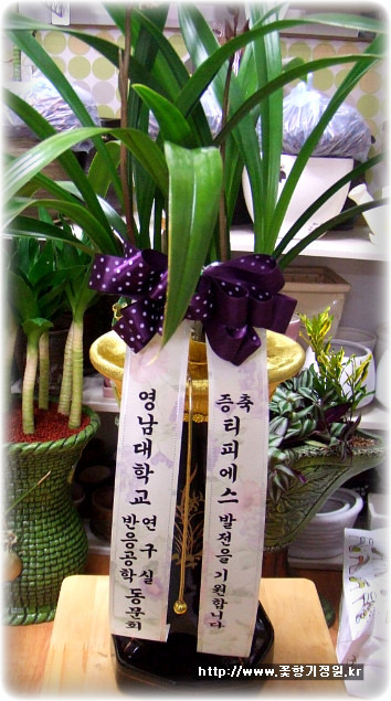 (주)티피에스 이미지