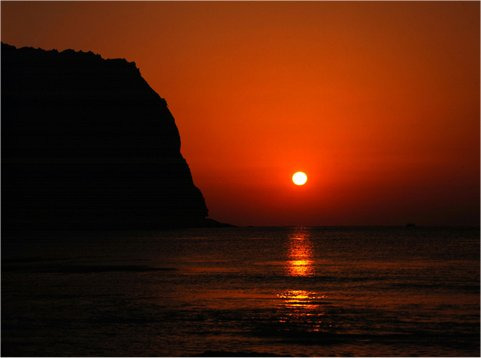 카페보소 이미지