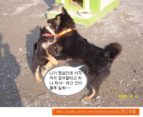 깜댕이 이미지